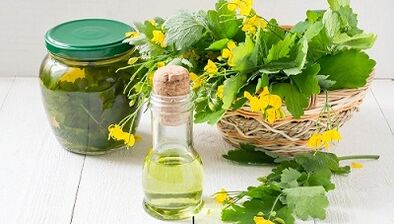 Celandine untuk menghilangkan parasit dari badan