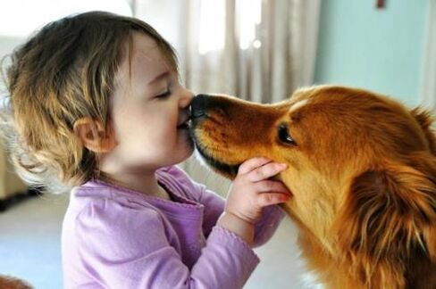 jangkitan cacing dari anjing